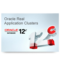 Oracle Real Application Clusters