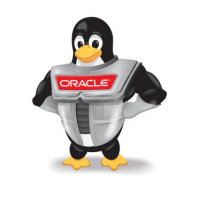 Oracle Database Appliance